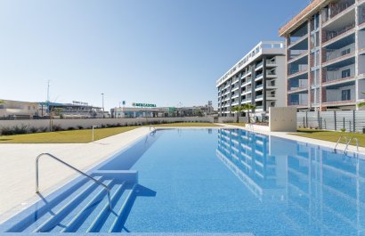 Apartament - Rynek Pierwotny - Torrevieja -
                Torreblanca