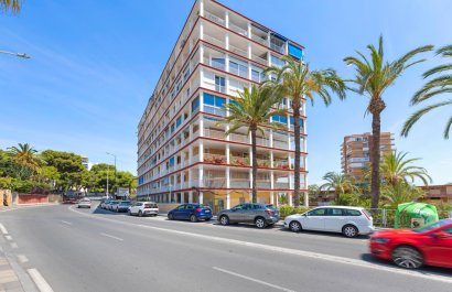 Apartament - Rynek Wtórny - Alicante -
                Alicante