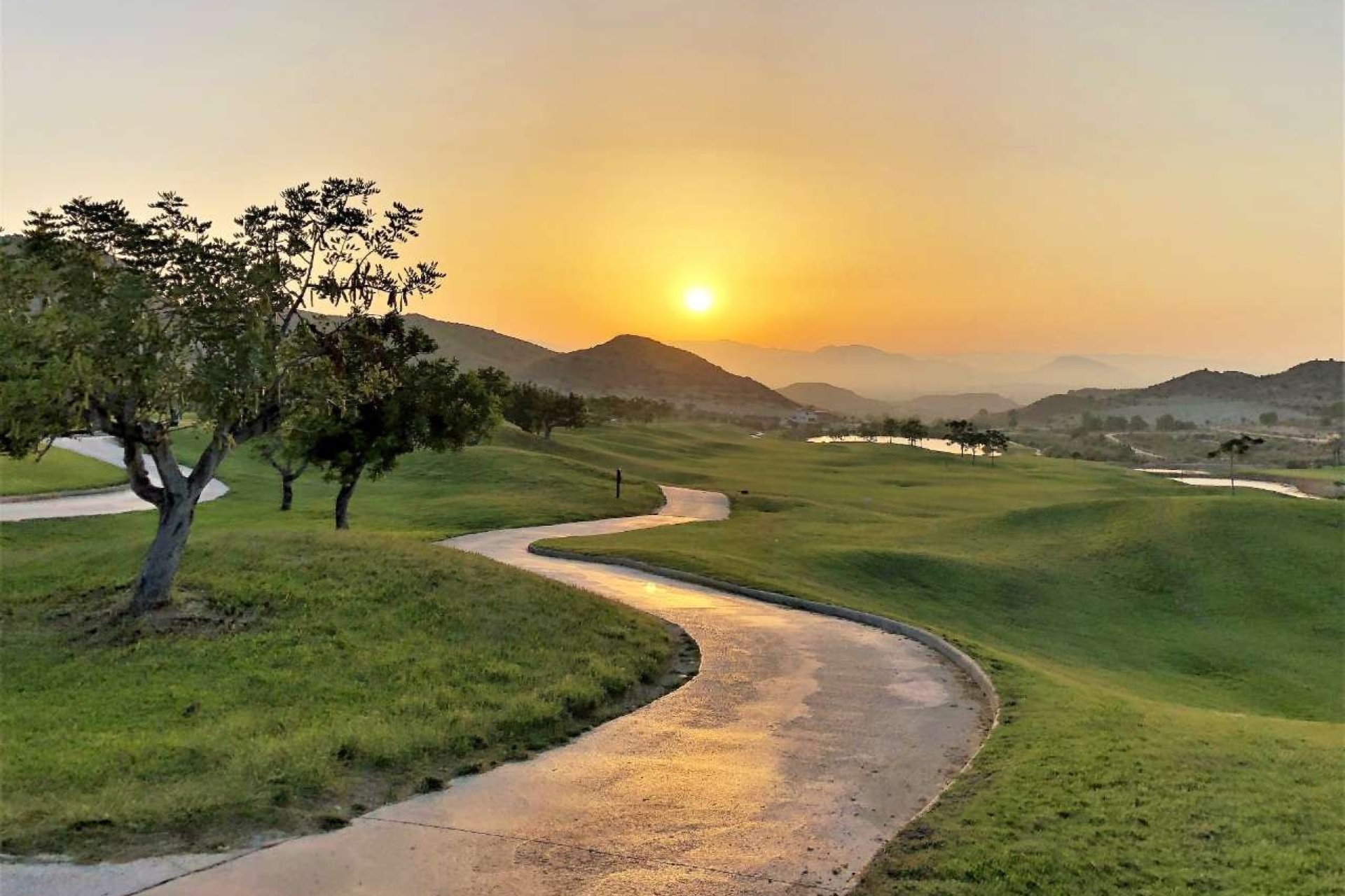 New Build - Apartment -
Monforte del Cid - Font del Llop