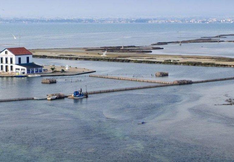 New Build - Apartment -
San Pedro del Pinatar - Pueblo