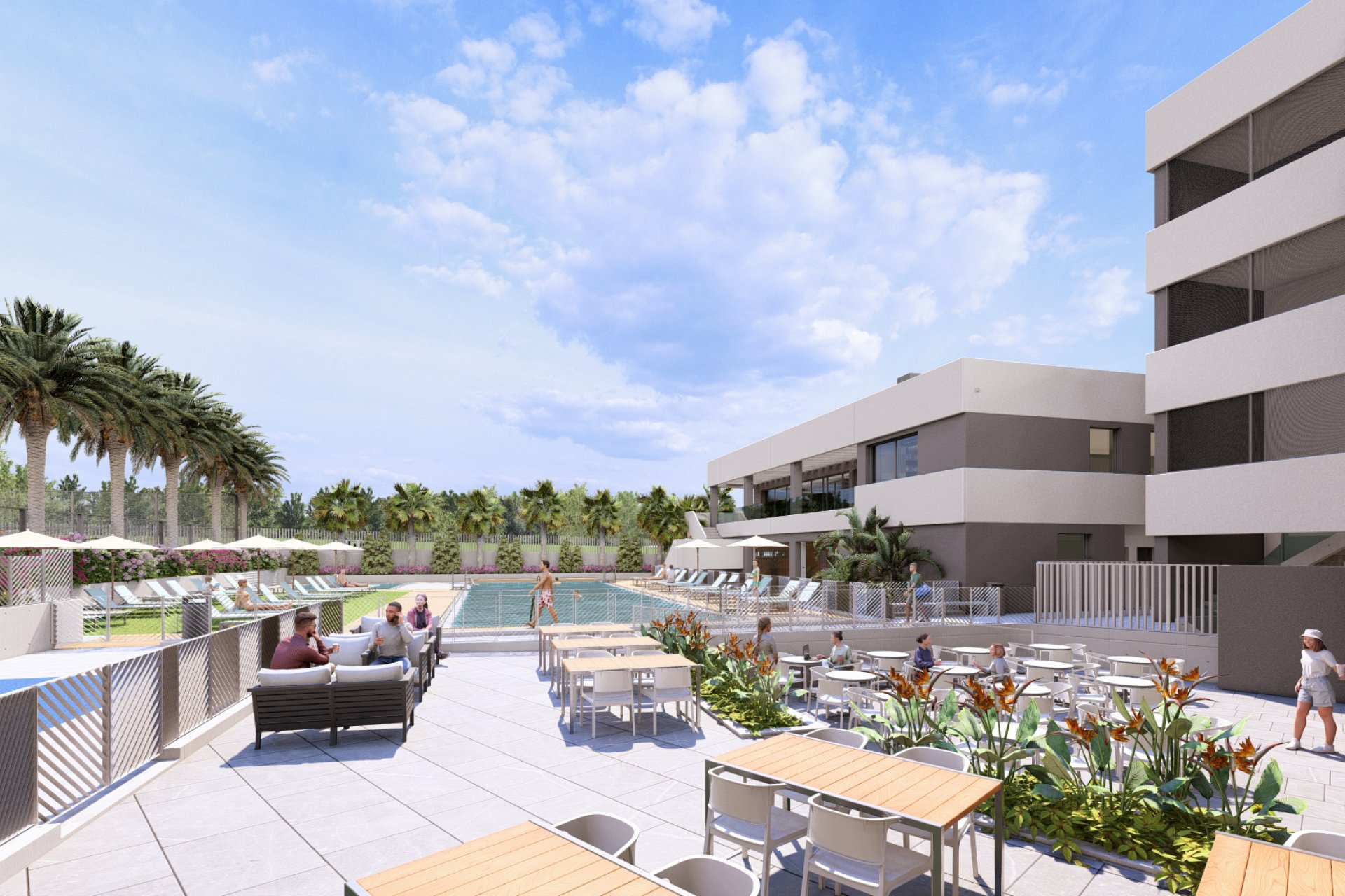 New Build - Apartment -
Torrevieja - Spain