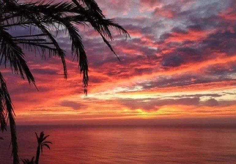 New Build - Bungalow -
Torrevieja - Altos del Sol