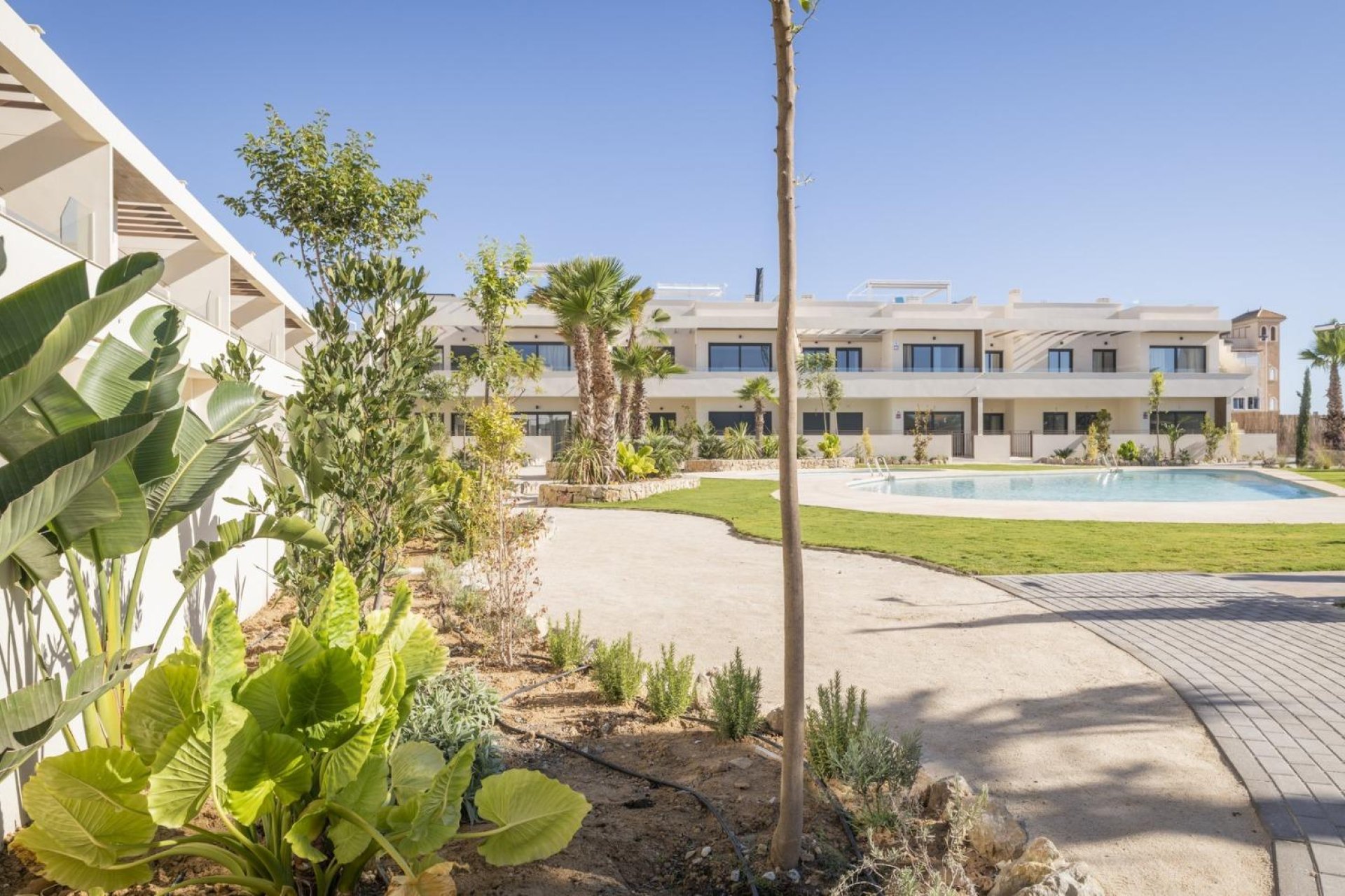 New Build - Bungalow -
Torrevieja - Villa Amalia