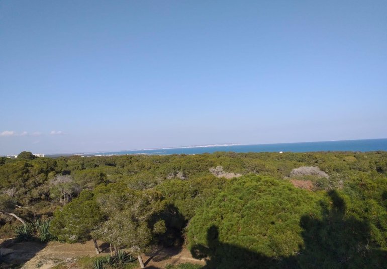 New Build - Ground floor apartment -
Guardamar del Segura - Pueblo