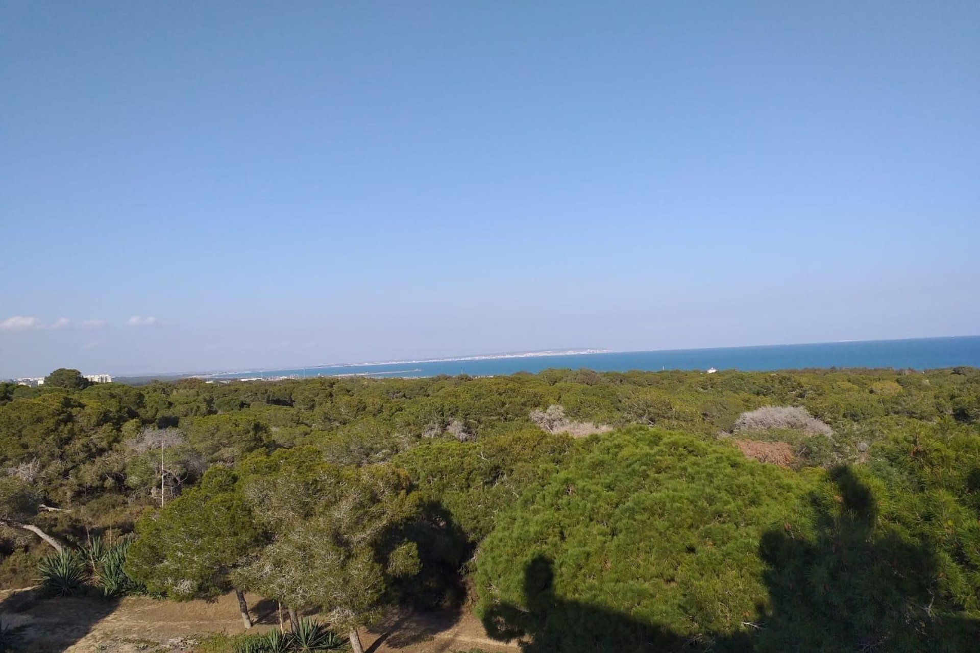 New Build - Ground floor apartment -
Guardamar del Segura - Pueblo