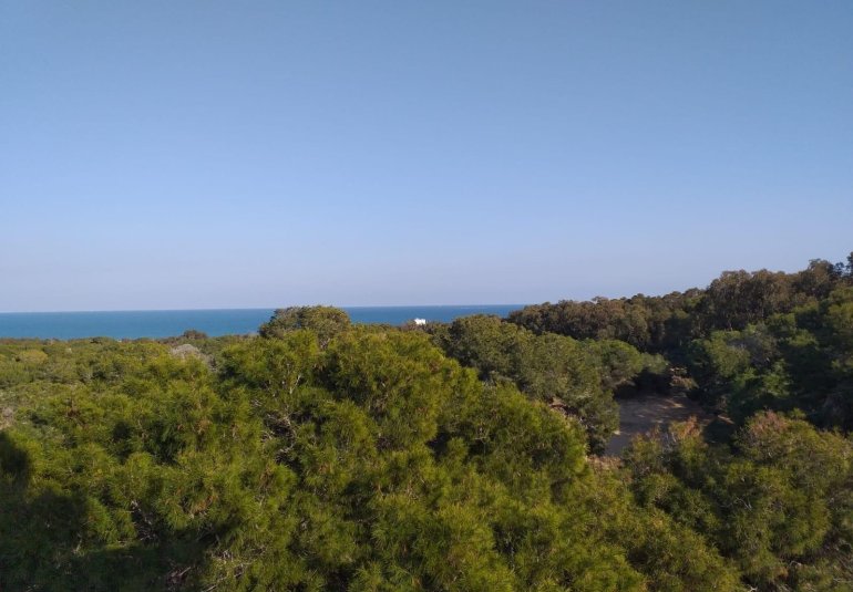 New Build - Ground floor apartment -
Guardamar del Segura - Pueblo