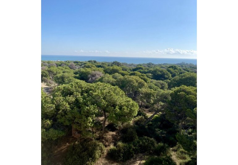New Build - Penthouse -
Guardamar del Segura - Centro
