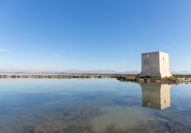 New Build - Penthouse -
Santa Pola - Estacion de autobuses