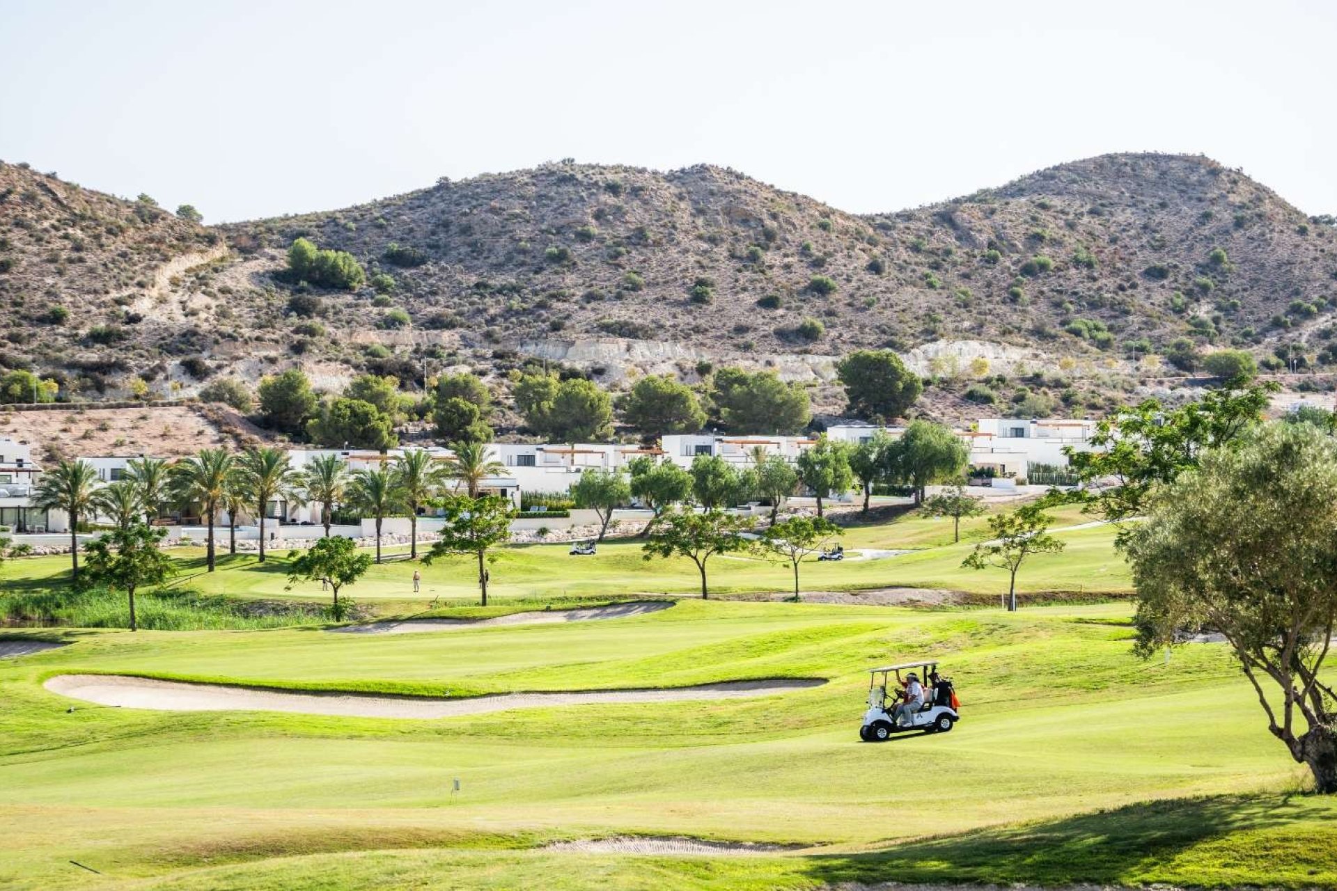 New Build - Semi-Detached Villa -
Monforte del Cid - Font del Llop