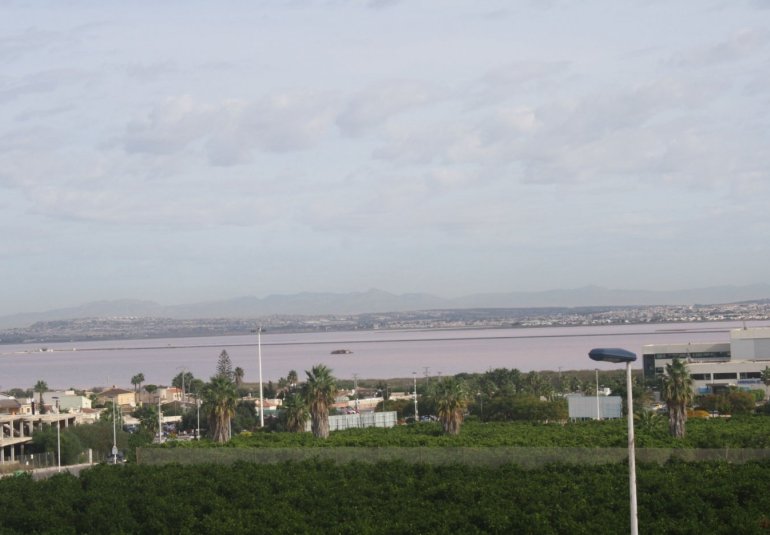 New Build - Town House -
Torrevieja - Los Altos