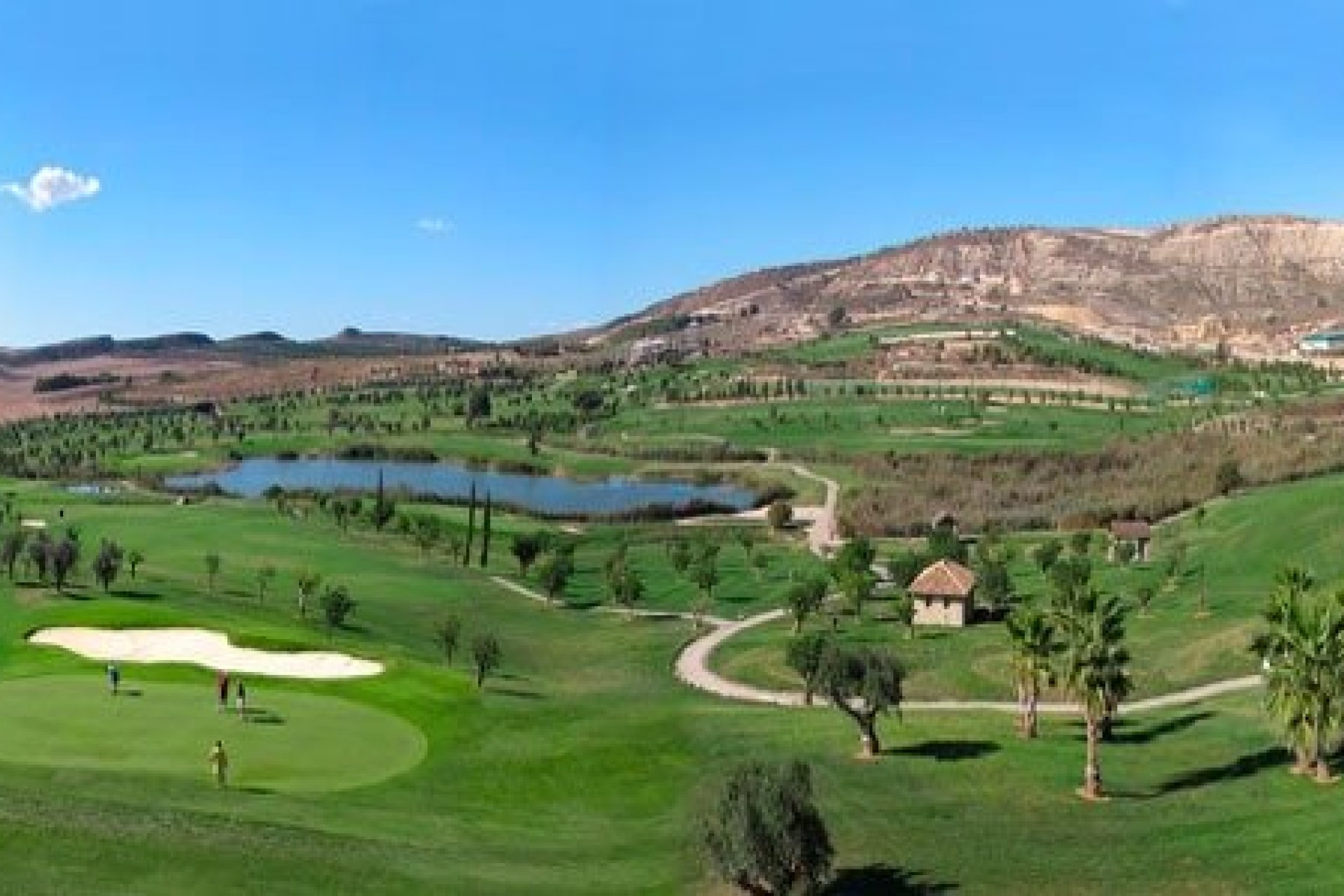 New Build - Villa -
Algorfa - La finca golf