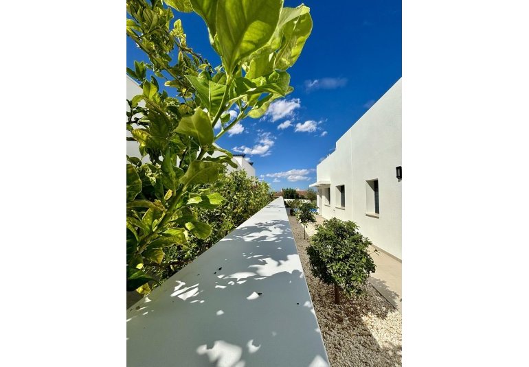 New Build - Villa -
Benijofar - Pueblo