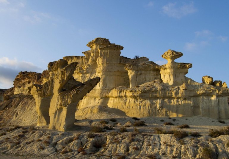 New Build - Villa -
Fuente Álamo - La Pinilla