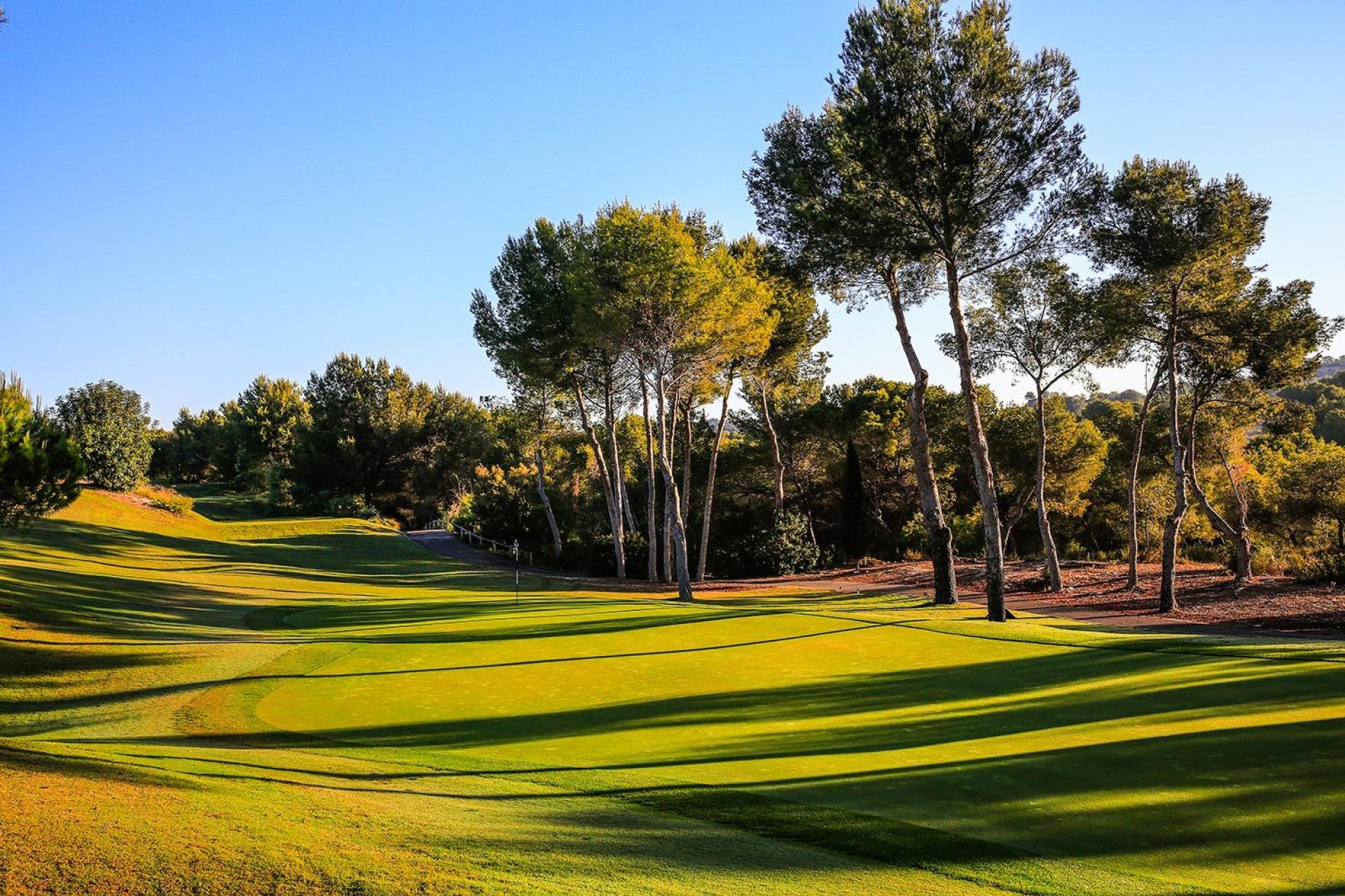 New Build - Villa -
Orihuela - Las Colinas