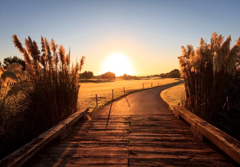 New Build - Villa -
Pilar de la Horadada - Lo Romero Golf