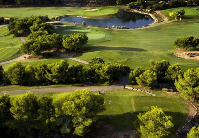 New Build - Villa -
Pilar de la Horadada - Lo Romero Golf