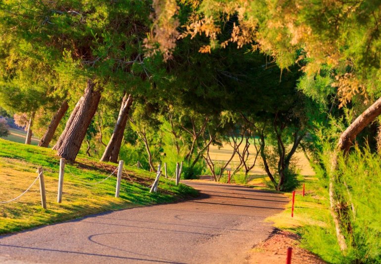 New Build - Villa -
Pilar de la Horadada - Lo Romero Golf