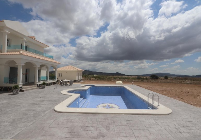 New Build - Villa -
Pinoso - Camino Del Prado