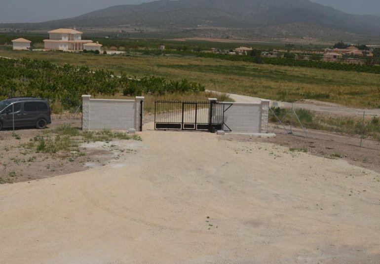 New Build - Villa -
Pinoso - Camino Del Prado