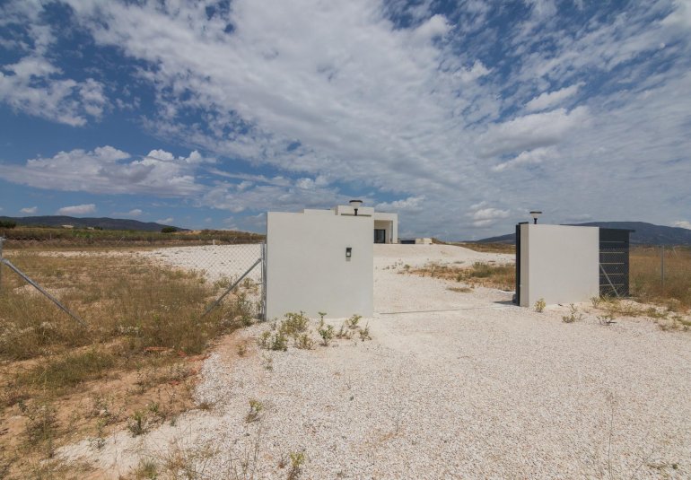 New Build - Villa -
Pinoso - Lel