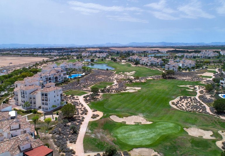 New Build - Villa -
Sucina