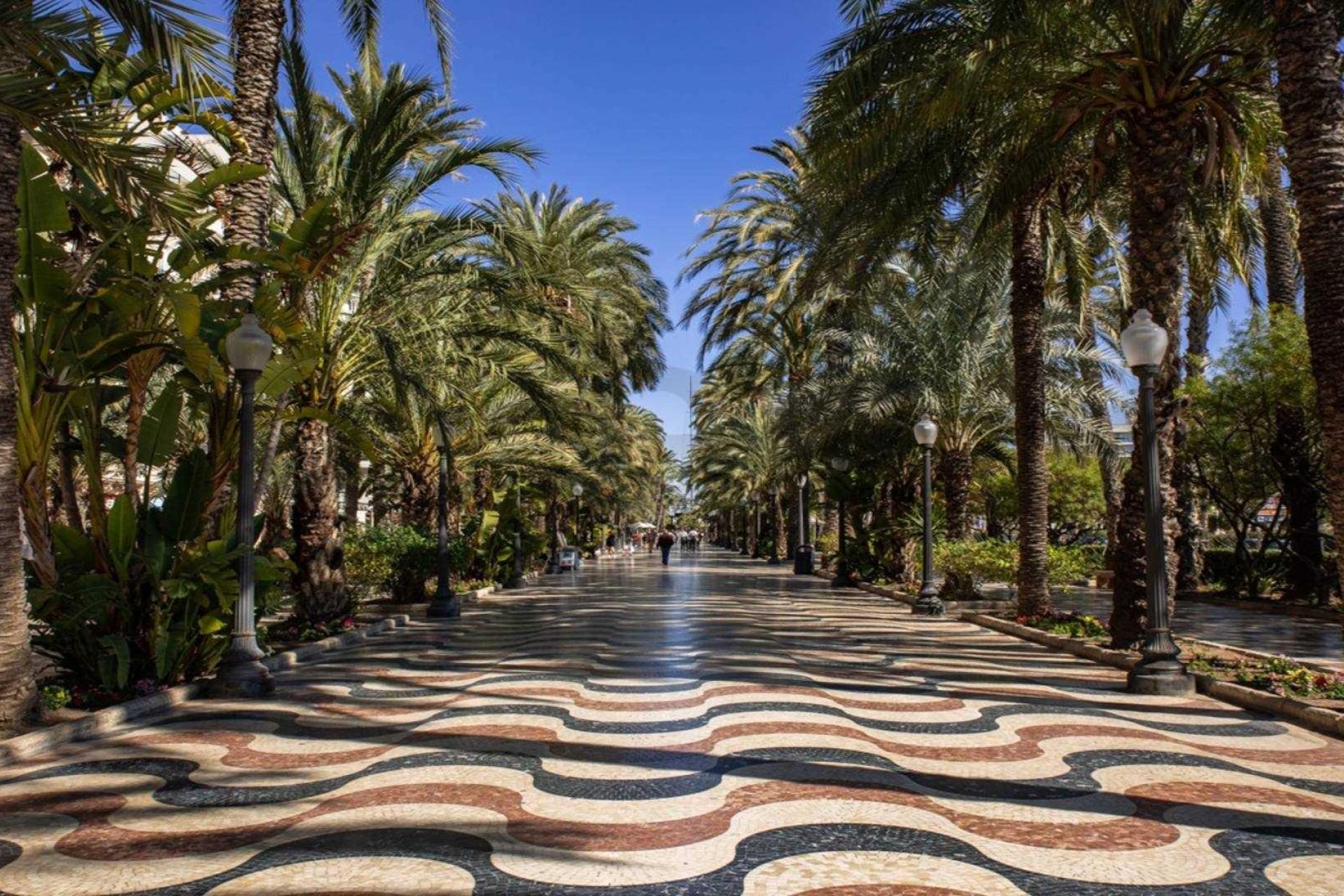 Obra nueva - Ático -
Alicante - Centro