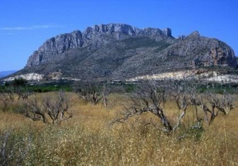 Obra nueva - Ático -
El Verger - Playa de La Almadraba