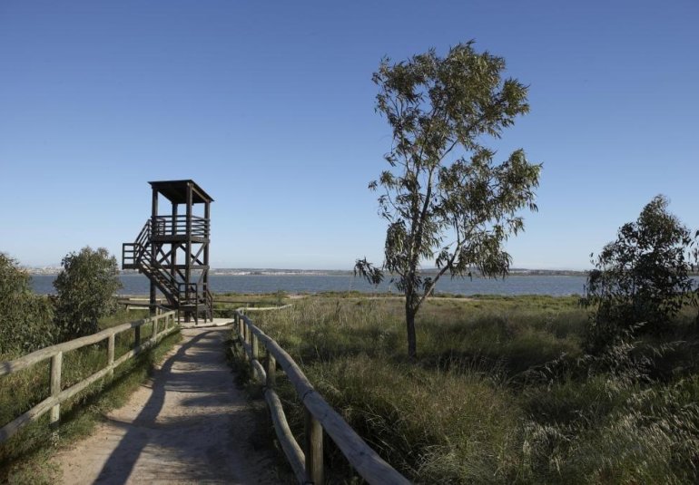 Obra nueva - Ático -
San Miguel - Pueblo