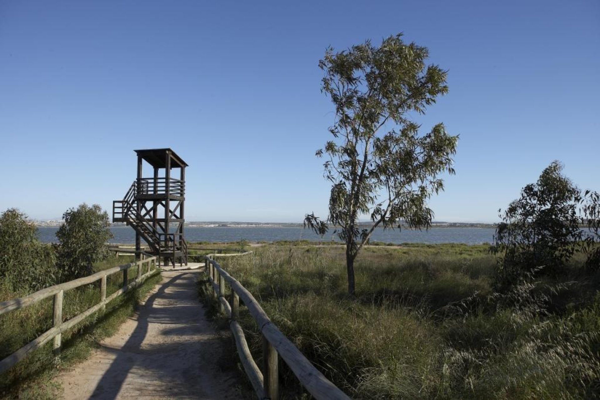 Obra nueva - Ático -
San Miguel - Pueblo
