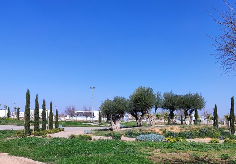 Obra nueva - Ático -
Torre Pacheco - Centro