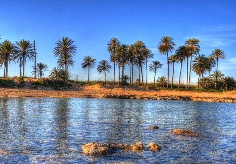 Obra nueva - Ático -
Torrevieja - Playa de El Cura