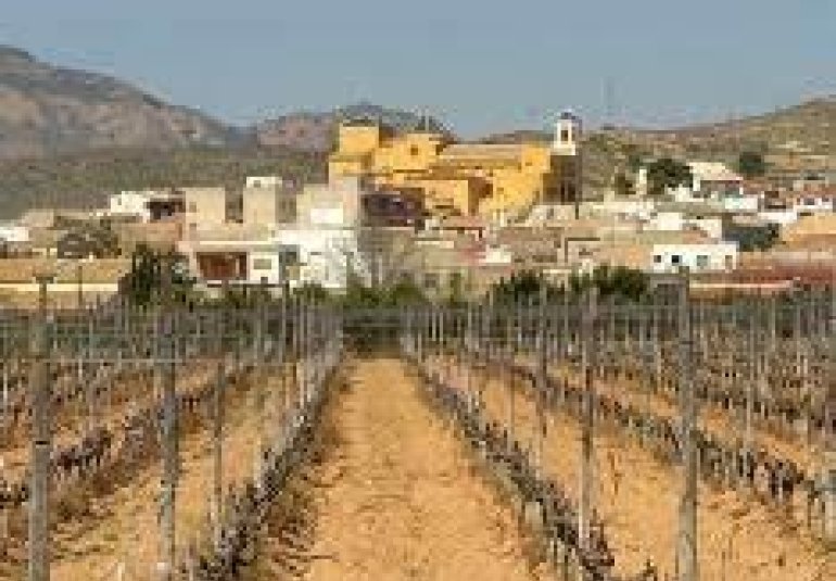 Obra nueva - Bungalow -
Hondón de las Nieves - El Salero