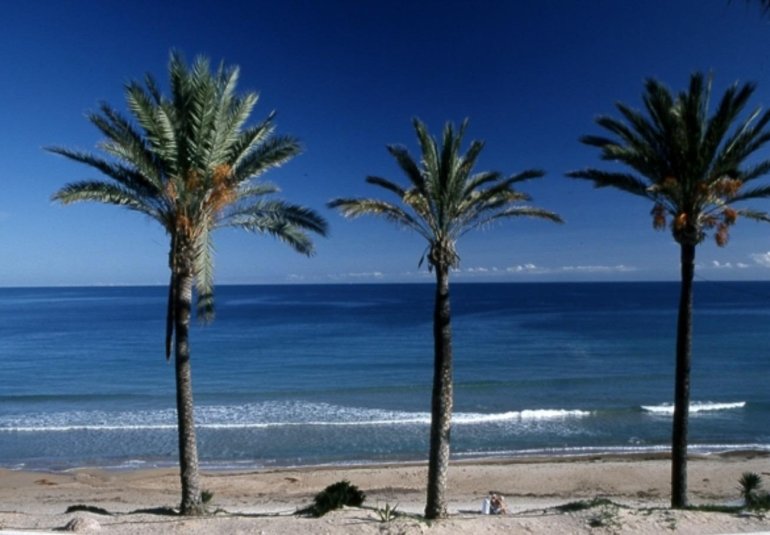 Obra nueva - Bungalow -
Pilar de la Horadada - Parque Ramon eugenio Escudero