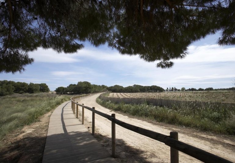 Obra nueva - Bungalow -
Torrevieja - Altos del Sol