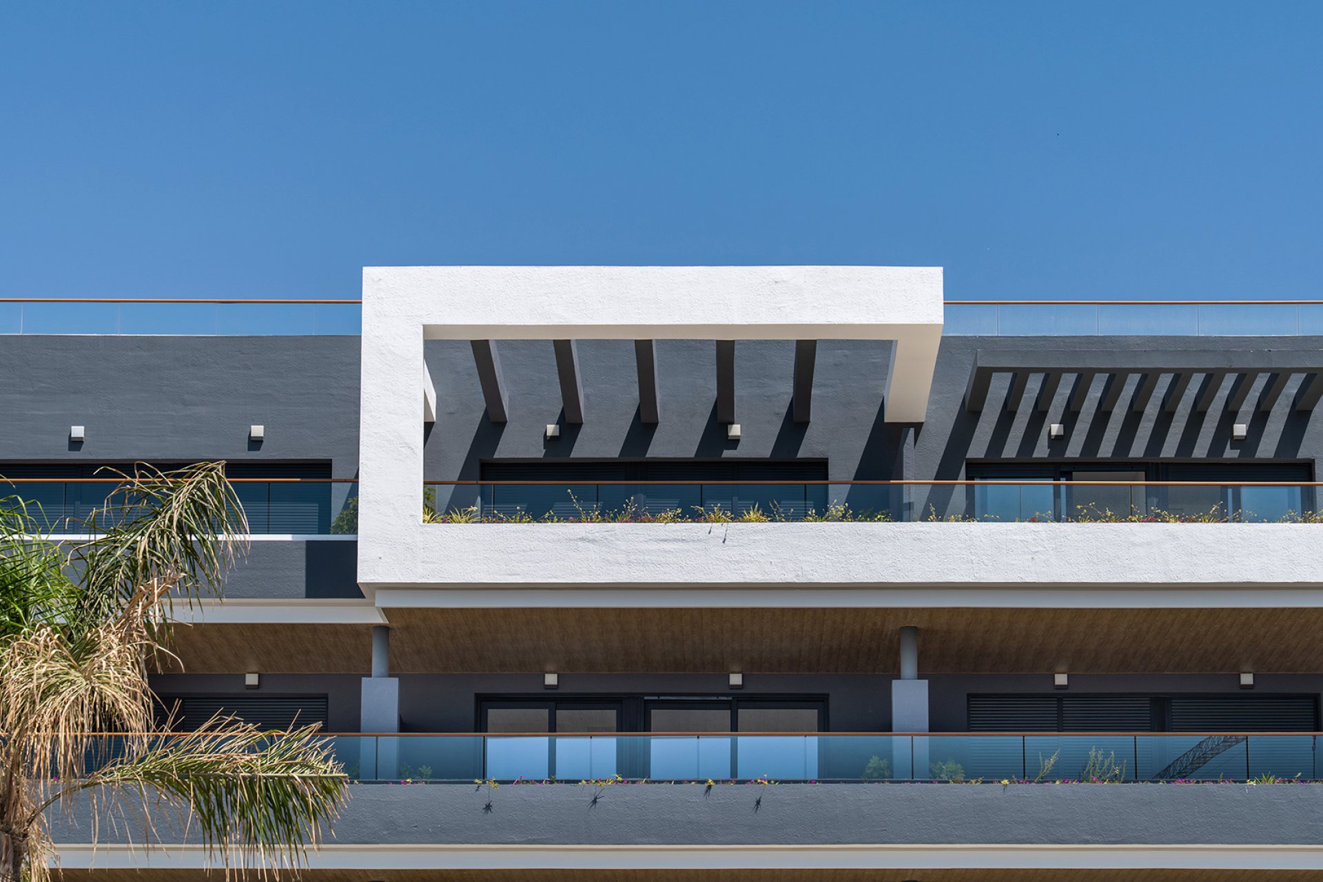 Obra nueva - Bungalow -
Torrevieja - Spain