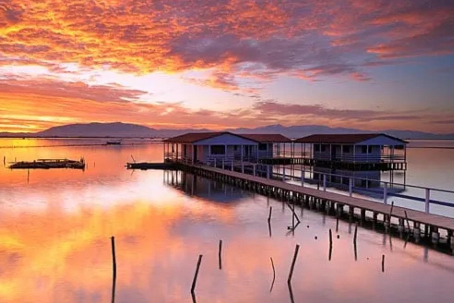 Obra nueva - Ground Floor Bungalow -
San Pedro del Pinatar - Los Pinos