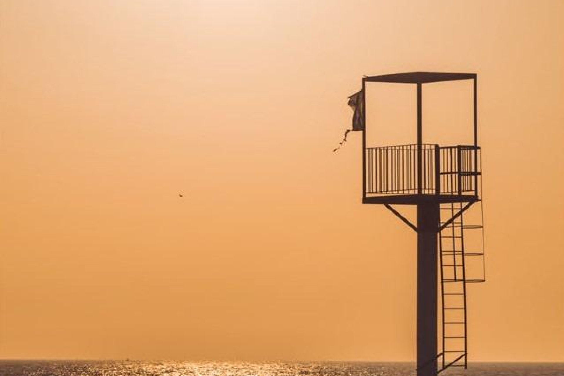 Obra nueva - Piso -
Almerimar