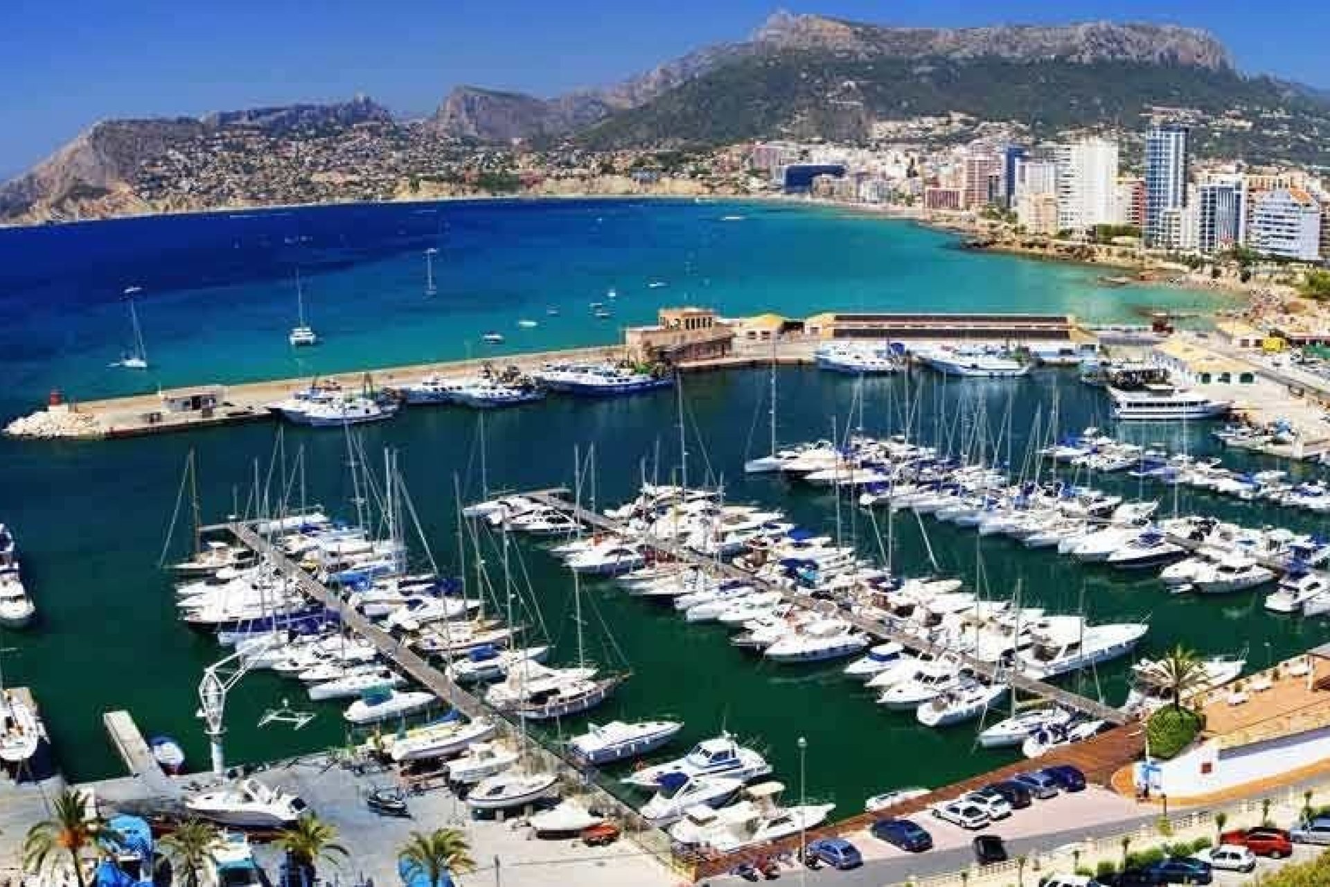 Obra nueva - Piso -
Calpe - Playa del Bol