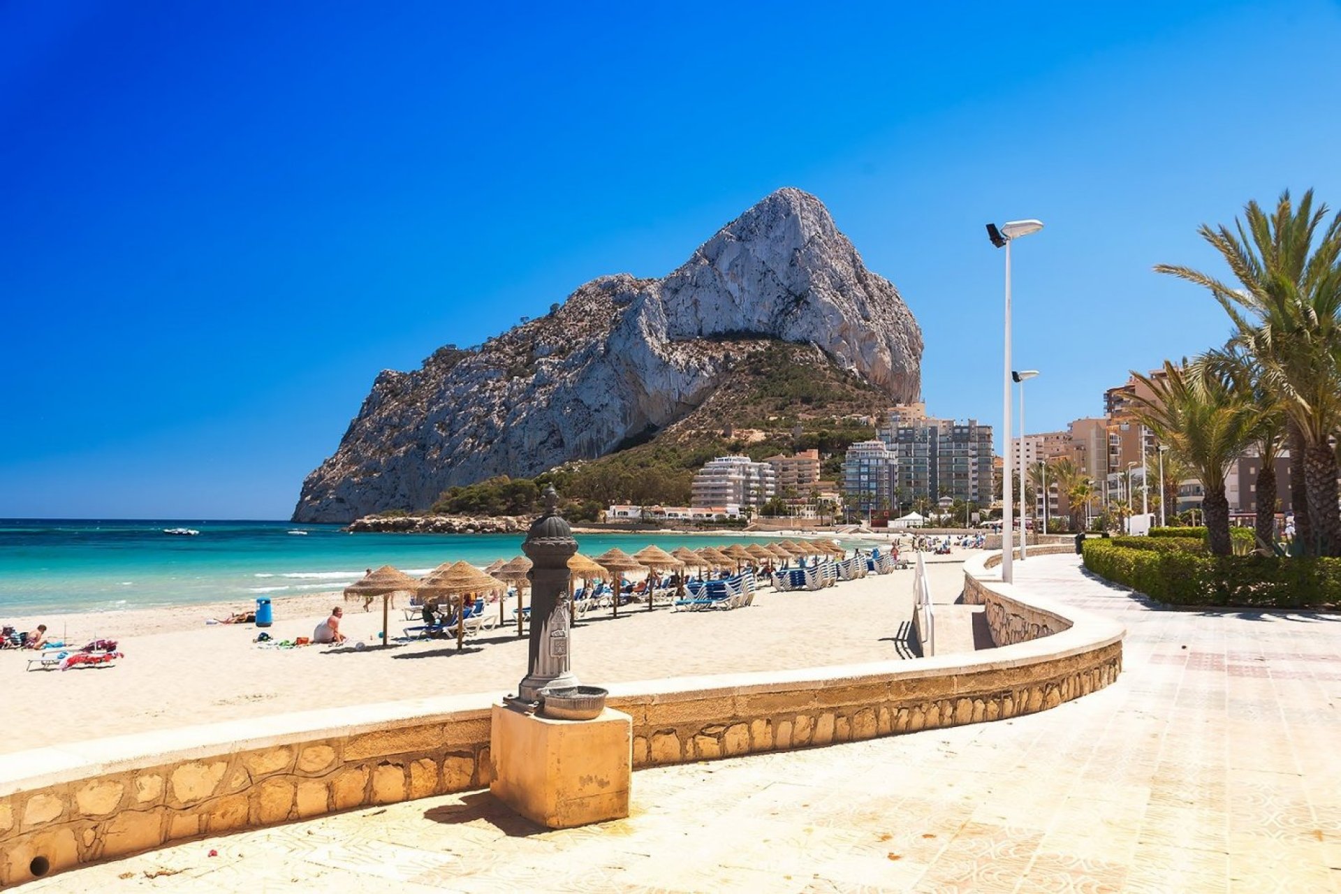 Obra nueva - Piso -
Calpe - Playa del Bol