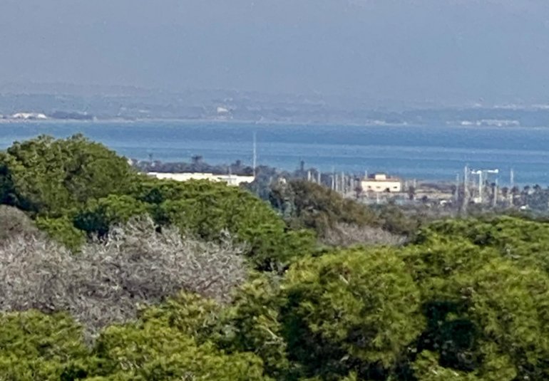 Obra nueva - Piso -
Guardamar del Segura - Centro