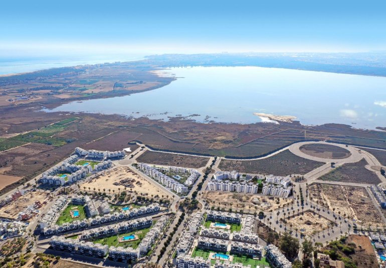Obra nueva - Piso -
Guardamar del Segura - El Raso