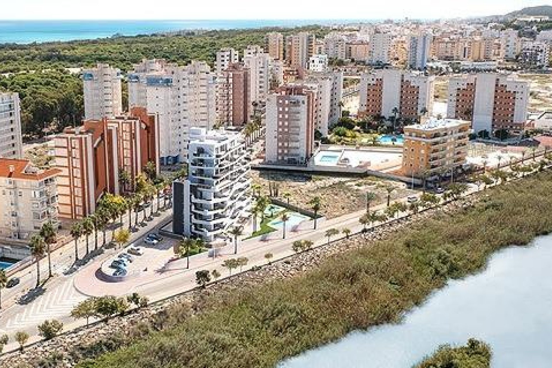 Obra nueva - Piso -
Guardamar del Segura - PUERTO