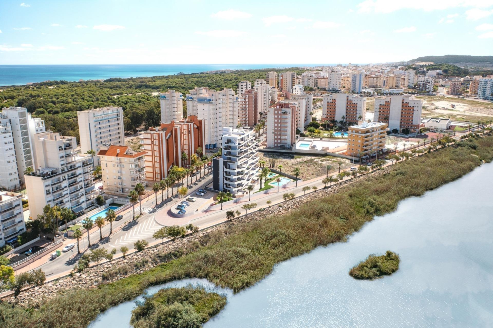 Obra nueva - Piso -
Guardamar del Segura - PUERTO