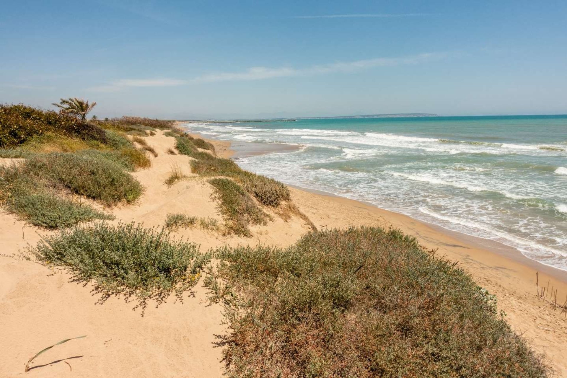 Obra nueva - Piso -
Guardamar del Segura