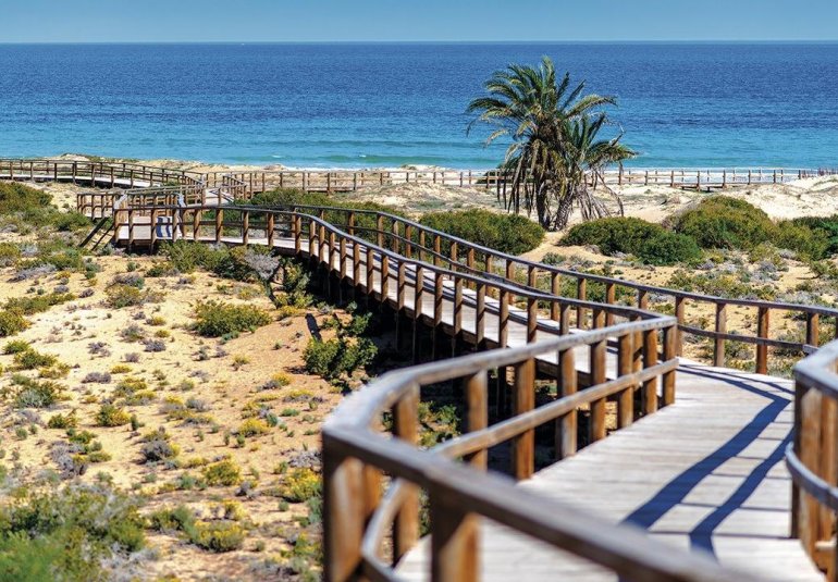 Obra nueva - Piso -
Monforte del Cid - Alenda Golf