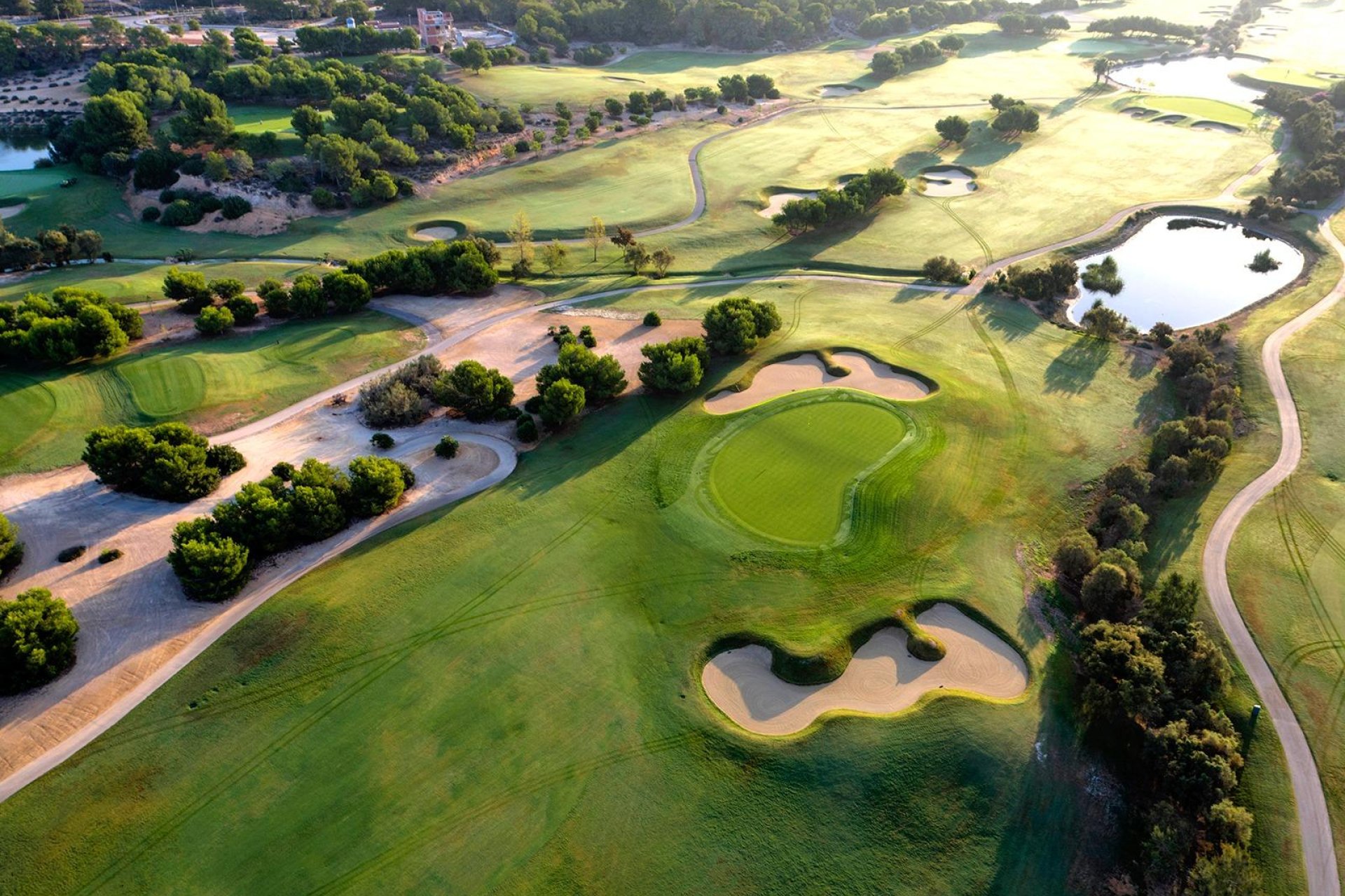 Obra nueva - Piso -
Pilar de la Horadada - Lo Romero Golf