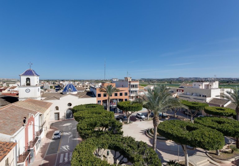 Obra nueva - Piso -
San Fulgencio - Pueblo