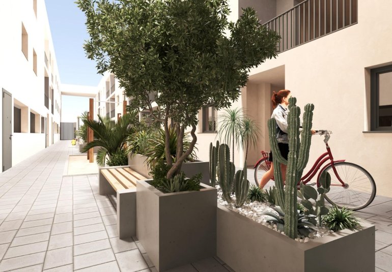 Obra nueva - Piso -
San Miguel - Pueblo