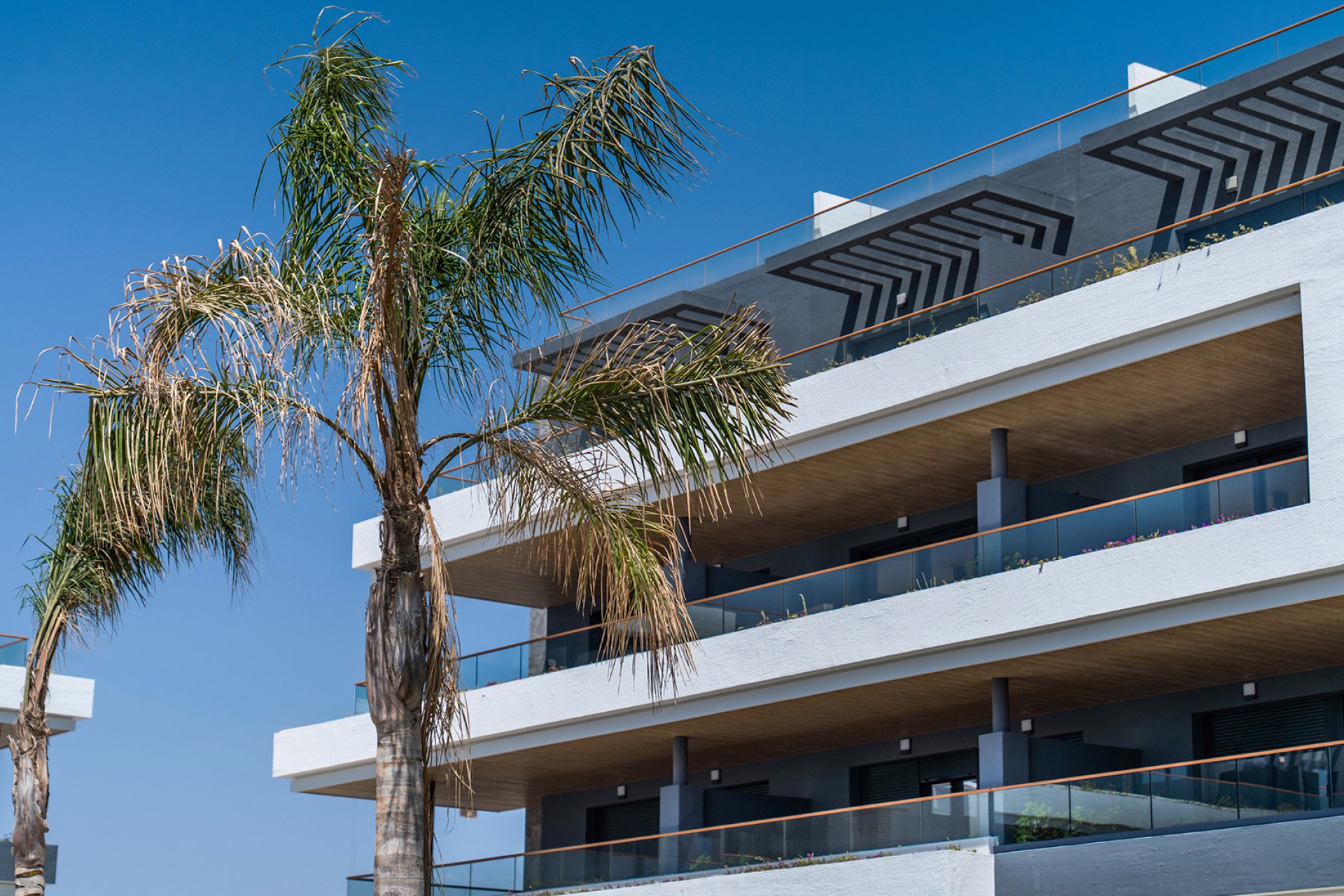 Obra nueva - Piso -
Torrevieja - Spain