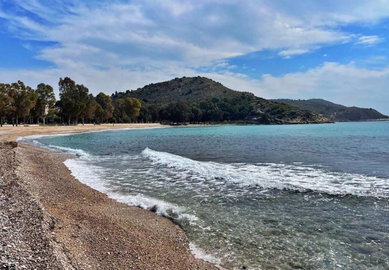 Obra nueva - Piso -
Villajoyosa - Playa del Torres